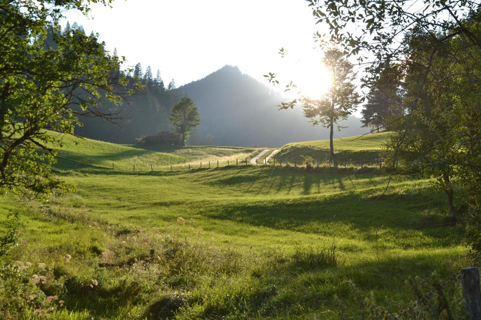 Ferienstadl - Hammerau Göstling an der Ybbs Dış mekan fotoğraf